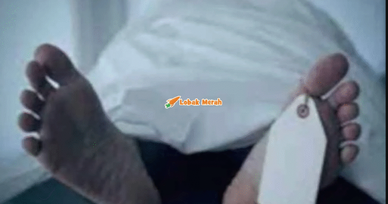Pembedahan Kosmetik