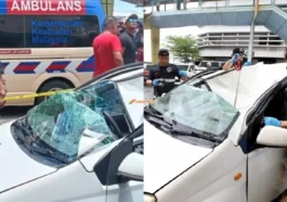 Bumbung Kereta