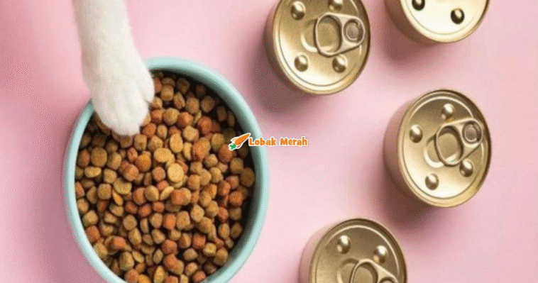 Makanan Kucing