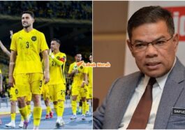 7 pemain harimau malaya kewarganegaraan