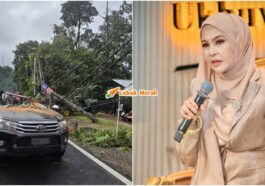 pokok tumbng staf bonda rozita