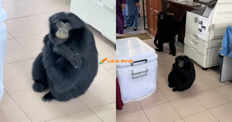 ⁠Bilik Guru