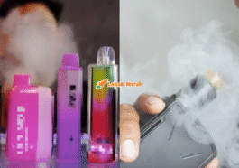 6vape 1