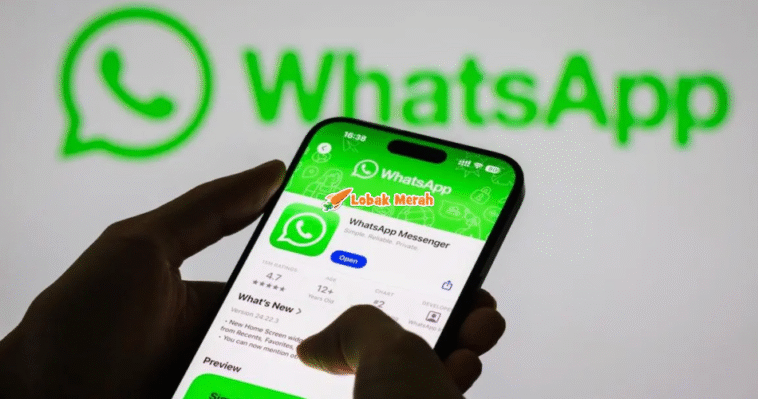 Aplikasi WhatsApp